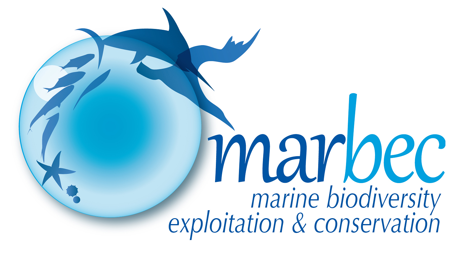 <strong><strong>Centre National de la Recherche Scientifique (CNRS)</strong></strong>