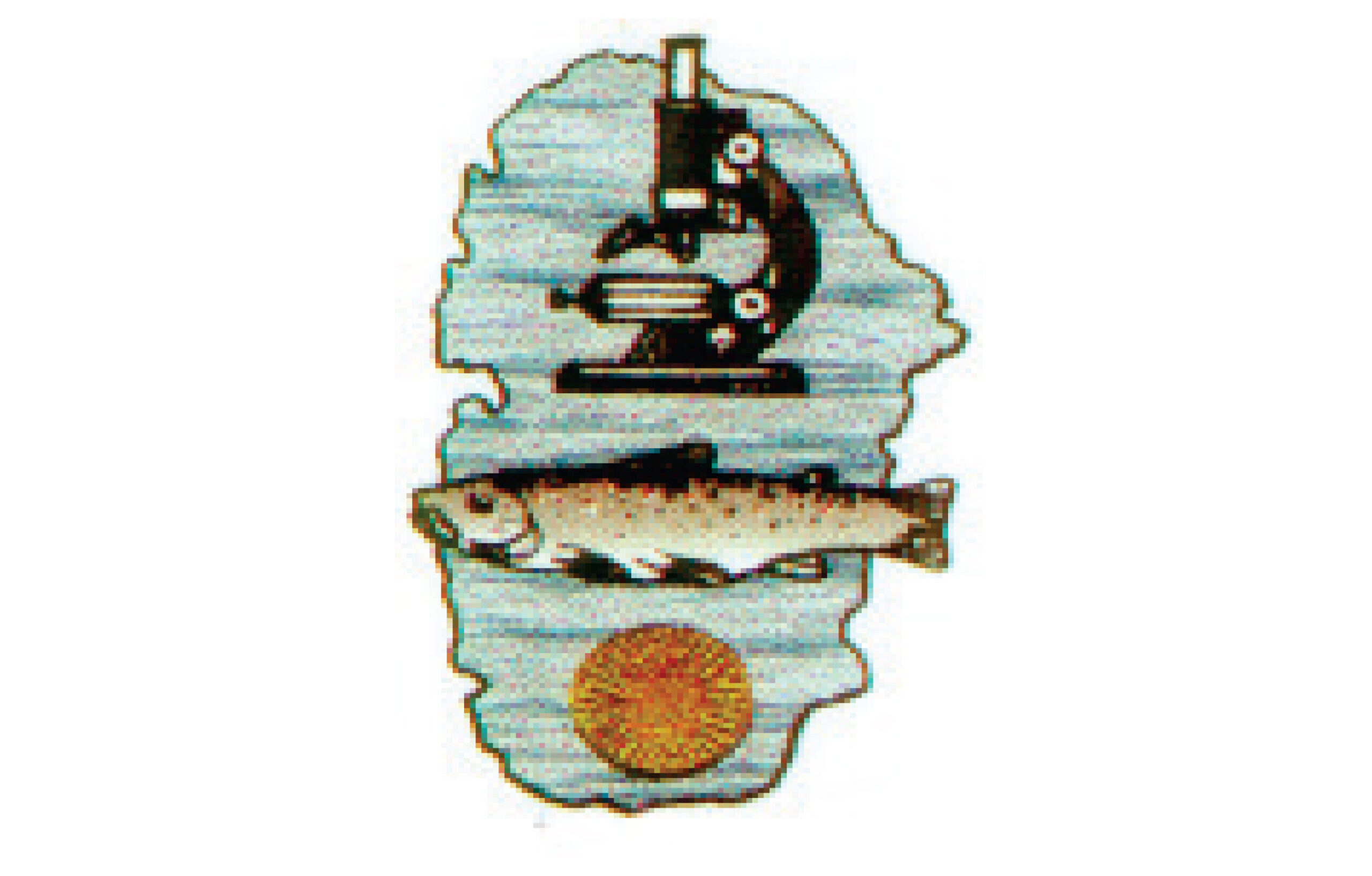 <strong>PSI Hydrobiological Institute OHRID (HIO)</strong>