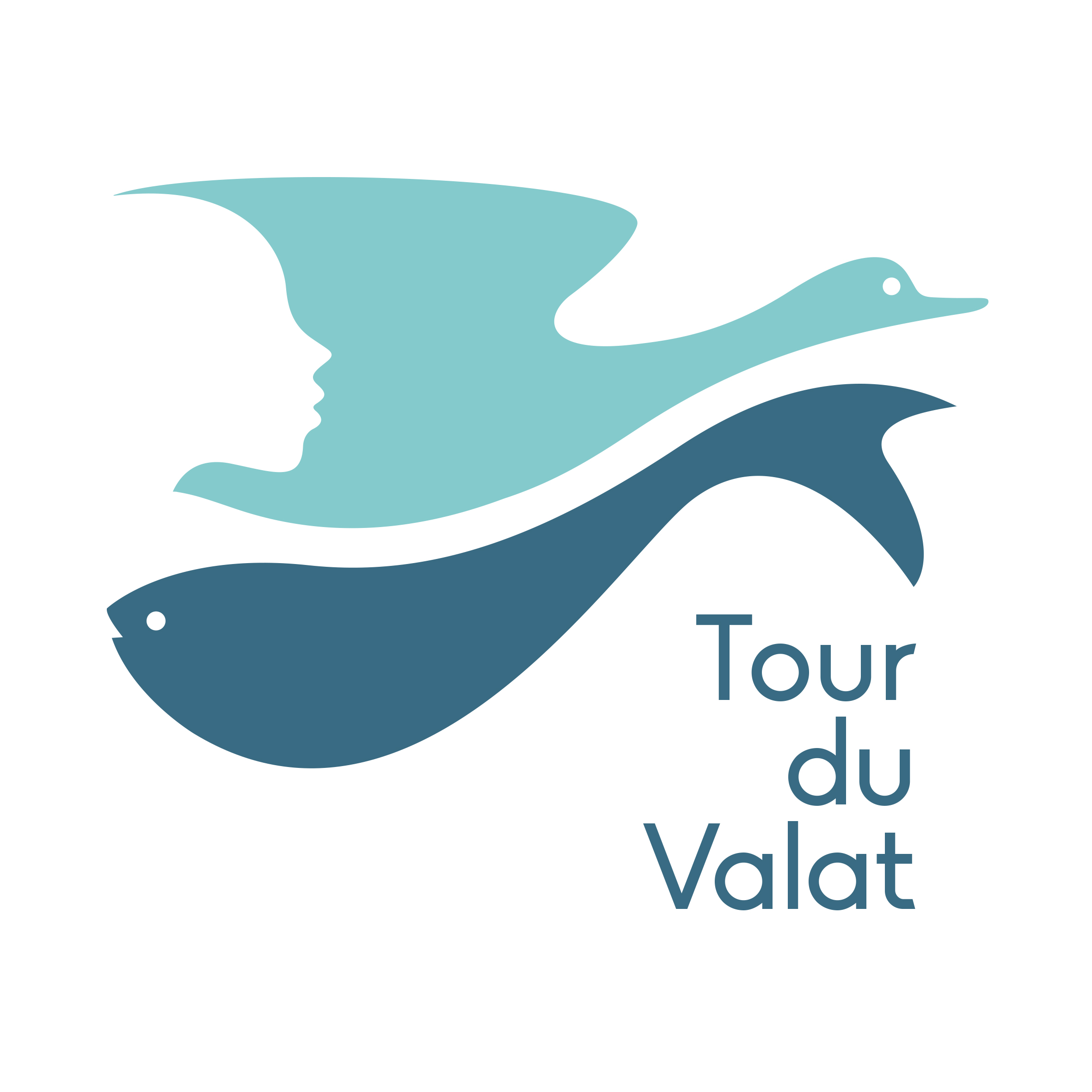 <strong><strong><strong><strong><strong><strong><strong>Station Biologique de la Tour du Valat (TdV)</strong></strong></strong></strong></strong></strong></strong>